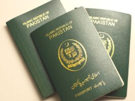 How to Renew Passport Online: A Step-by-Step Guide