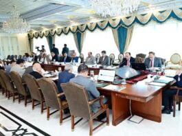 Plan to Cut 150,000 Vacant Government Jobs Proposed by Cabinet Committee Cabinet Cutts the 150000 Vacants from Government Departments