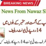 Punjab Electricity Consumers to Receive Rs. 14 Per Unit Relief for Two Months RS 14 Per Unit Relief in Electricity Bills for August & September