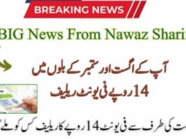 Punjab Electricity Consumers to Receive Rs. 14 Per Unit Relief for Two Months RS 14 Per Unit Relief in Electricity Bills for August & September