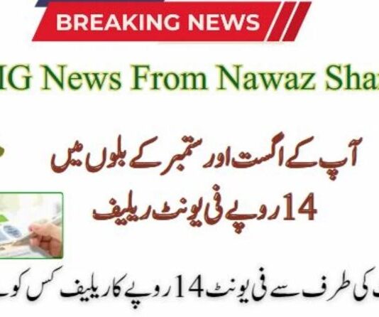 Punjab Electricity Consumers to Receive Rs. 14 Per Unit Relief for Two Months RS 14 Per Unit Relief in Electricity Bills for August & September