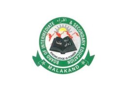 BISE Malakand Matric Part 1 Annual-II Exam Results 2024